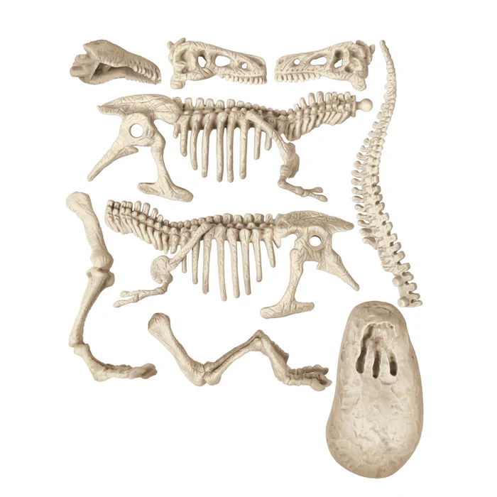 Ausgrabungs-Set T-Rex & Triceratops - Image 5