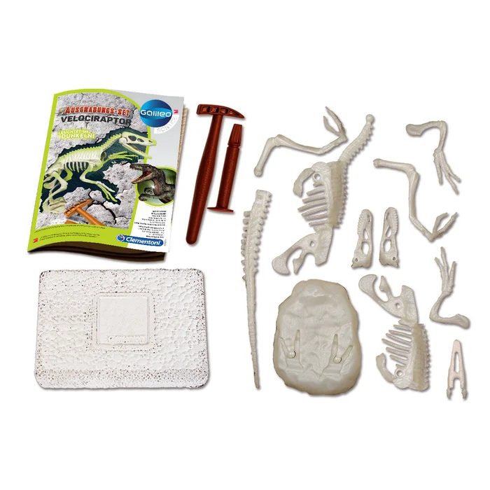 Ausgrabungs-Set Velociraptor - Image 4