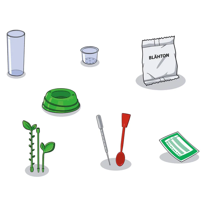 Botanik und Hydrokultur - Image 5