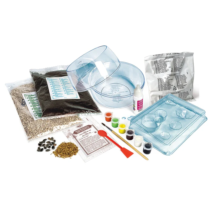 Harry Potter - Terrarium - Image 4