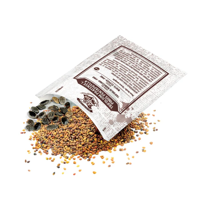 Harry Potter - Terrarium - Image 6