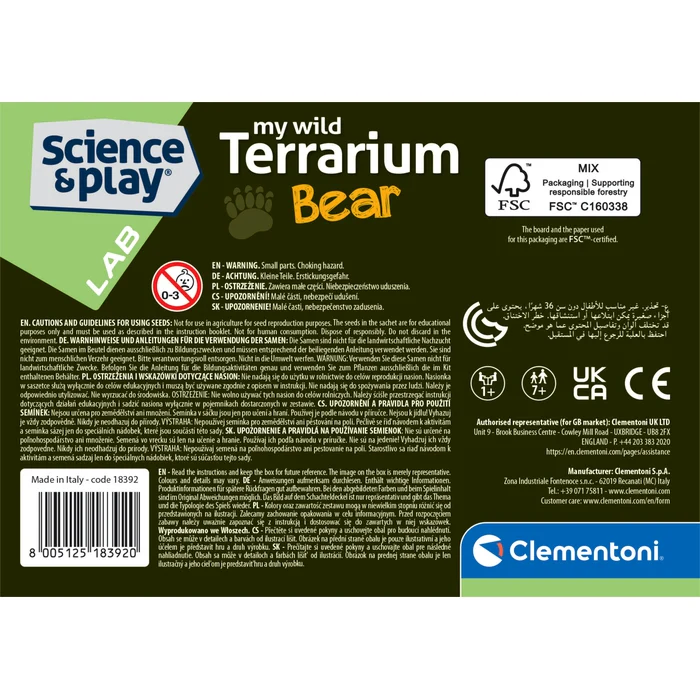 Mini Terrarium - Bär - Image 3