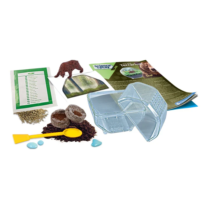 Mini Terrarium - Bär - Image 4