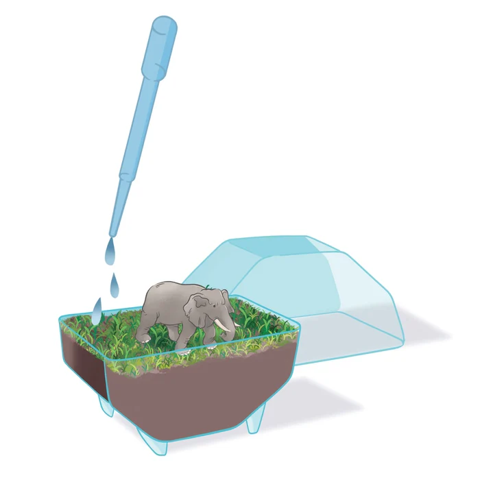 Mini Terrarium - Elefant - Image 5