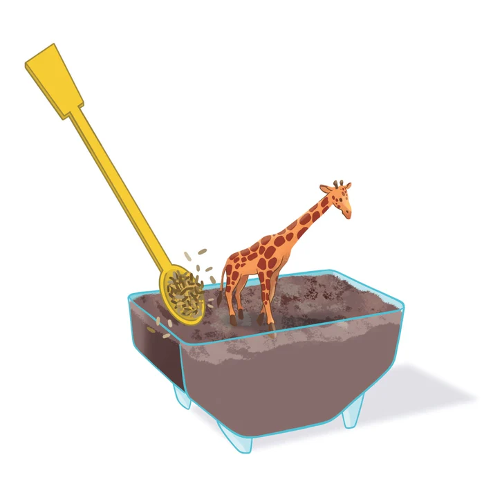 Mini Terrarium - Giraffe - Image 5