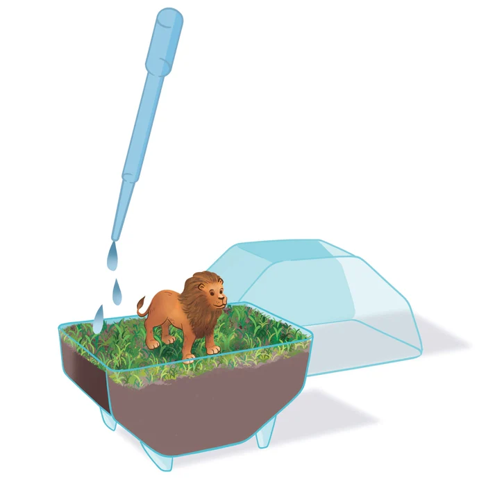 Mini Terrarium - Löwe - Image 5