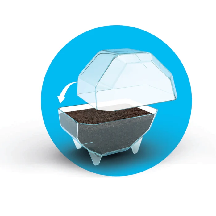 Mini Terrarium - Löwe - Image 6