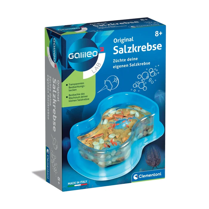 EXPERIMENTIEREN & FORSCHEN